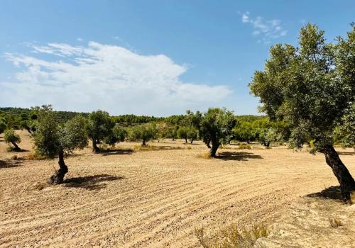 Lands in Teruel