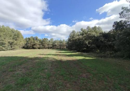 Lands in Lledó