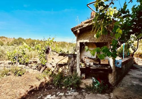 Fincas en Teruel