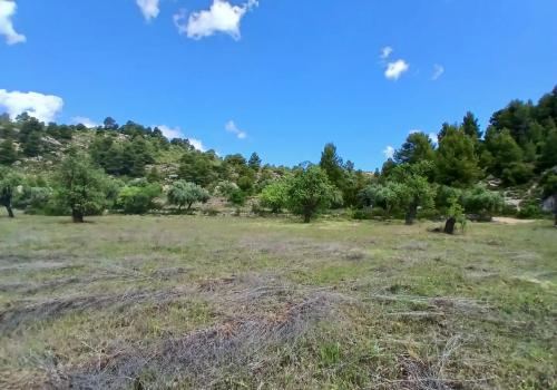 Lands in Valderrobres