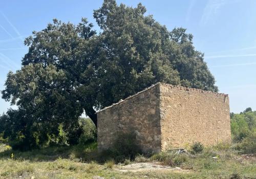 Fincas en Teruel