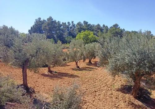 Venta en Teruel