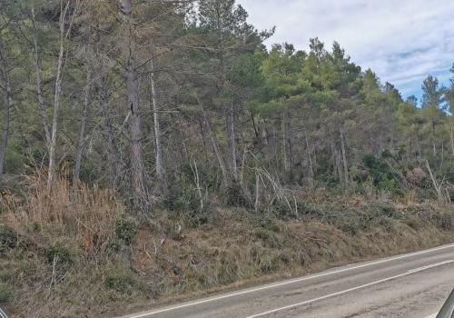 Fincas en Valderrobres