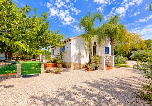 Properties in Pego