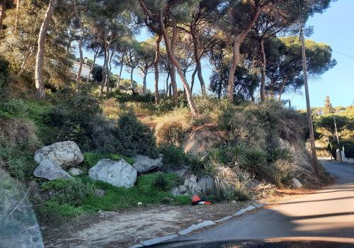 Plots in Barcelona