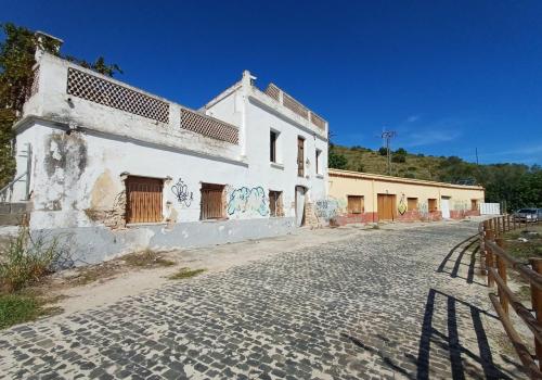 Properties in Oliva