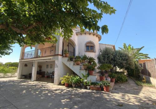 Properties in Oliva