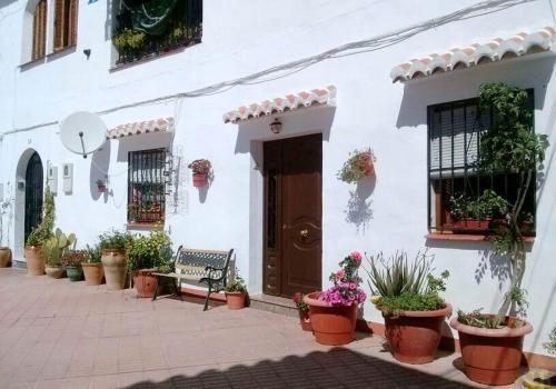 Viviendas en Cómpeta