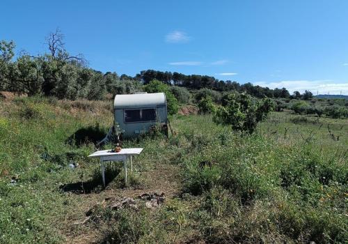 Lands in La Fatarella