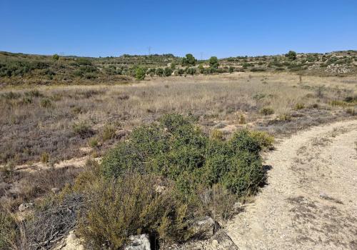 Venta en Maella