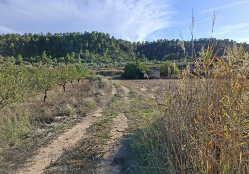 Country Properties in Maella