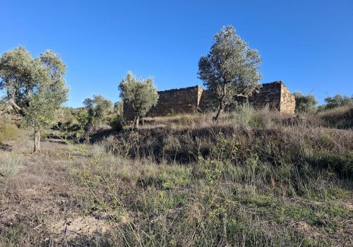 Venta en Fabara