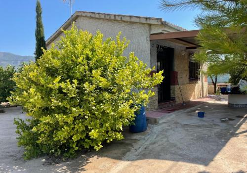 Homes in Librilla