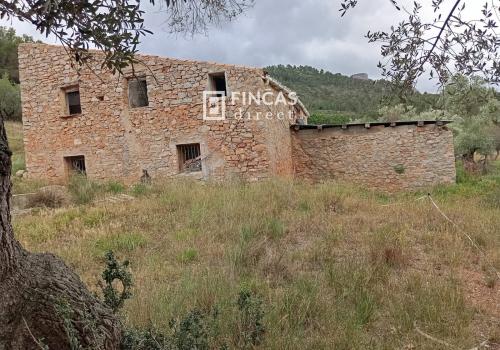 Homes in Alfara de Carles