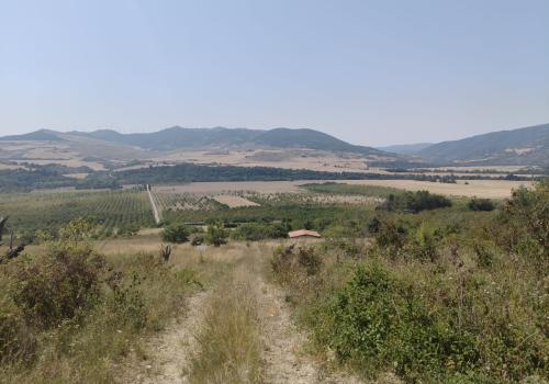 Country Properties in Etxauri