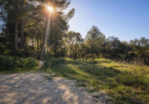 Plot for sale in Montaverner - PNPT295