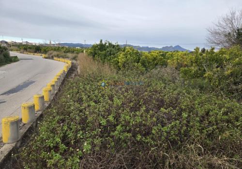 Plots in Valencia