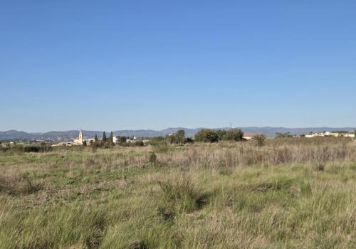 Plots in Montaverner