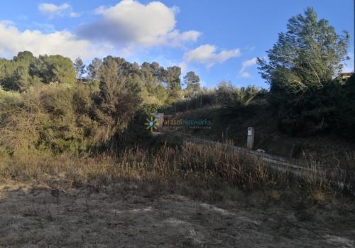 Plots in Valencia