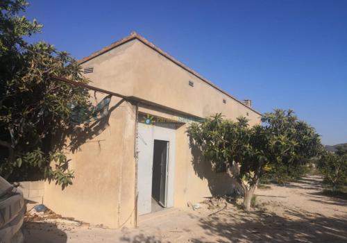 Houses in Valencia