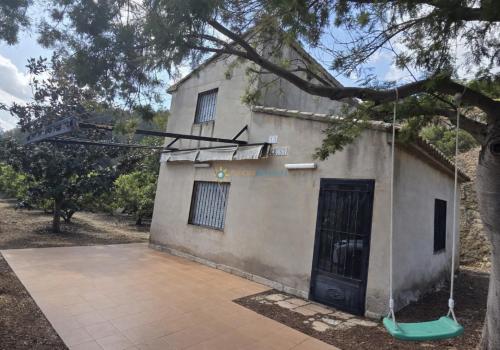 Properties in Alfauir