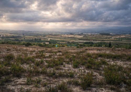 Terrenos en Albaida
