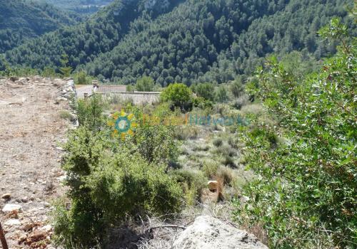 Properties in Oliva