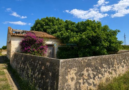 Terrenos en Piles