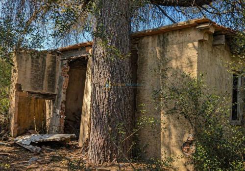 Inmuebles en Valencia