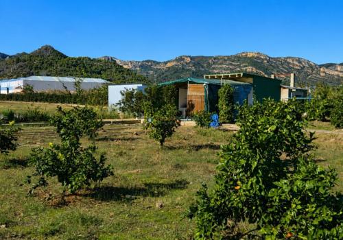 Terrenos en Xeraco