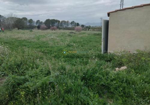Terrenos en La Pobla del Duc