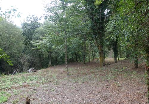 Country Properties in Gondomar